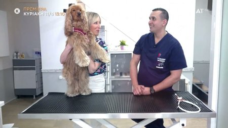 Pet Stories | Trailer | Πρεμιέρα 11/05/2025 