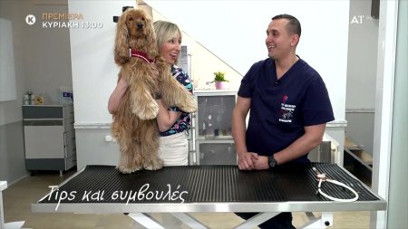 Pet Stories | Trailer | Πρεμιέρα 11/05/2025 