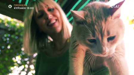 Pet Stories | Trailer | Πρεμιέρα 11/05/2025