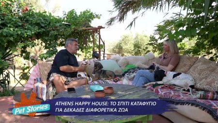 Athens Happy House: Το σπίτι καταφύγιο για δεκάδες διαφορετικά ζώα 