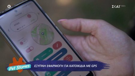Η ελληνική εφαρμογή που «ακολουθεί» το κατοικίδιό σου μέσω GPS