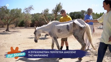 Η συγκλονιστική περιπέτεια της Μαριάνθης! Από ένα βήμα πριν τον θάνατο στο να ξαναστέκεται όρθια  