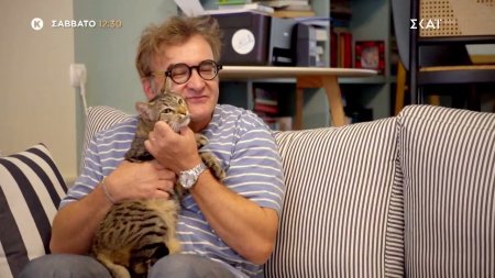 Pet Stories | Trailer | 08/11/2025