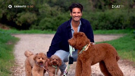 Pet Stories | Trailer | 06/12/2025