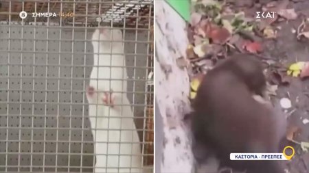 Όπου Υπάρχει Ελλάδα - Καστοριά-Πρέσπες | Trailer | 11/12/2025