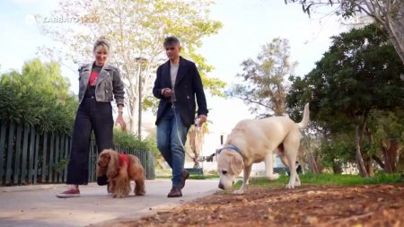 Pet Stories - Δημήτρης Ουγγαρέζος | Trailer | 13/12/2025