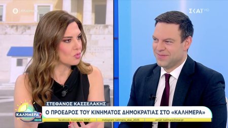 Στέφανος Κασσελάκης: Υπήρχε εγκληματική οργάνωση με τον ΟΠΕΚΕΠΕ