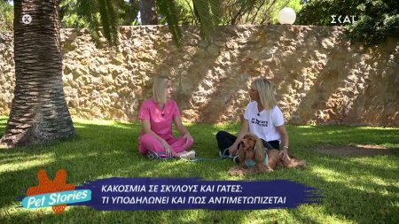 Κακοσμία σε σκύλους και γάτες: Τι υποδηλώνει και πως αντιμετωπίζεται 