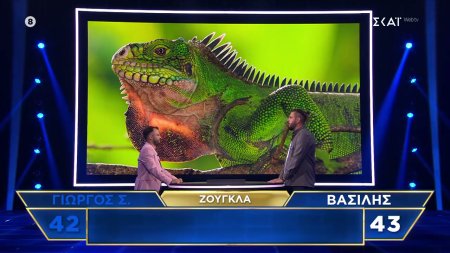 The Floor: Γιώργος Σ. και Βασίλης αναμετριούνται στις γνώσεις του πάνω στη... ζούγκλα!