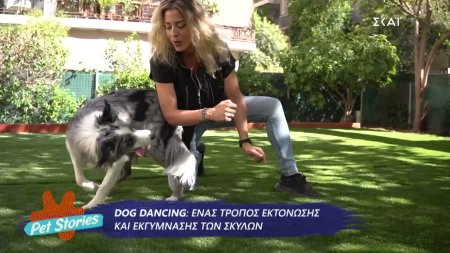 Μαθαίνουμε τα οφέλη του Dog Dancing