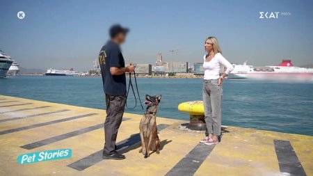 Τα καθήκοντα και τα χαρακτηριστικά που πρέπει να έχουν οι σκύλοι Κ9 του Λιμενικού – Η σχέση με τον χειριστή 