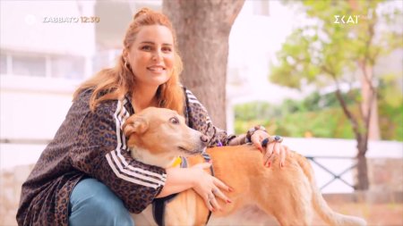 Pet Stories - Εβελίνα Νικόλιζα | Trailer | 24/01/2026