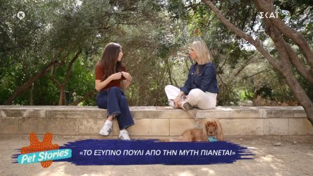 Η στενάχωρη ιστορία πίσω από την παροιμία «το έξυπνο πουλί από την μύτη πιάνεται»