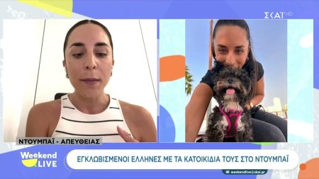 Έλληνες εγκλωβισμένοι στο Ντουμπάι γιατί δεν μπορούν να φύγουν μαζί με τα κατοικίδιά τους 