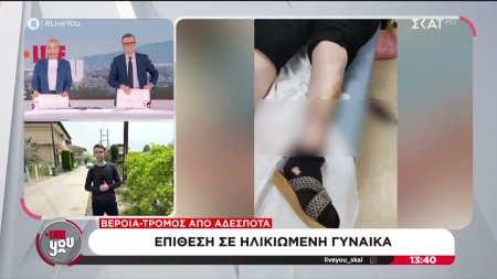 Αλεξάνδρεια Βέροιας: Επίθεση από αγέλη αδέσποτων σε ηλικιωμένη γυναίκα 