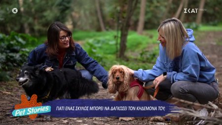 Γιατί ένας σκύλος μπορεί να δαγκώσει τον κηδεμόνα του; 