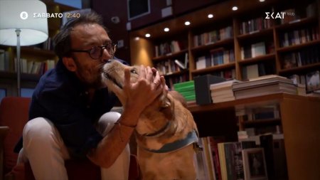 Pet Stories - Αύγουστος Κορτώ | Trailer | 09/05/2026