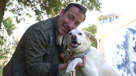 Pet Stories |  Σωτήρης Καλυβάτσης - Trailer | 06/06/2026
