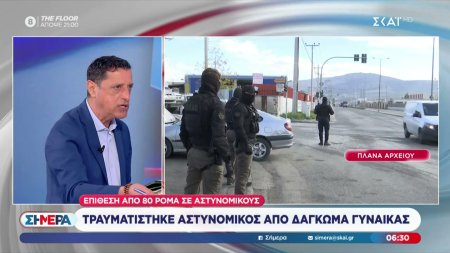 Επίθεση από 80 Ρομά σε αστυνομικούς - Τραυματίστηκε αστυνομικός από... δάγκωμα γυναίκας 