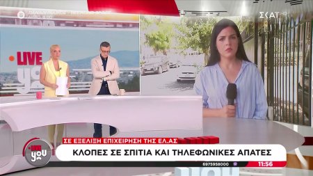 Σε εξέλιξη επιχείρηση της ΕΛ. ΑΣ.: Κλοπές σε σπίτια και τηλεφωνικές απάτες   