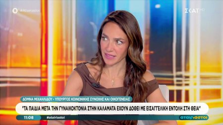 Δ.Μιχαηλίδου για γυναικοκτονία στην Καλαμάτα: «Τα παιδιά έχουν δοθεί με εισαγγελική παρέμβαση στη θεία»