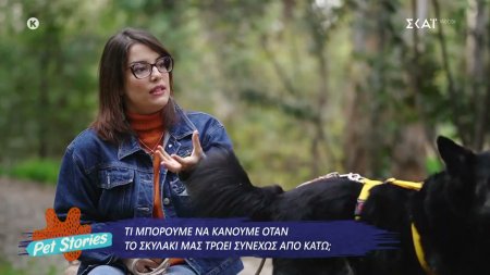 Τι μπορούμε να κάνουμε όταν το σκυλάκι μας τρώει συνεχώς από κάτω