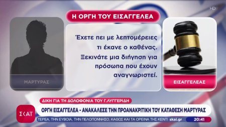 Δίκη Λυγγερίδη: Μάρτυρας ανακάλεσε όσα είχε καταθέσει για 13 οπαδούς, οργή του εισαγγελέα 