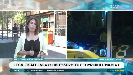 Στον εισαγγελέα ο πιστολέρο της τούρκικης μαφίας - 400 Τούρκοι μαφιόζοι στην Ελλάδα