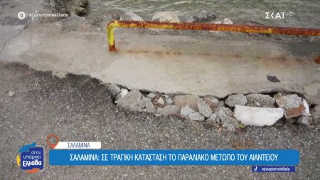 Σαλαμίνα: Σε τραγική κατάσταση το παραλιακό μέτωπο του Αιαντείου 