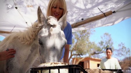 Pet Stories | Trailer | 27/06/2026