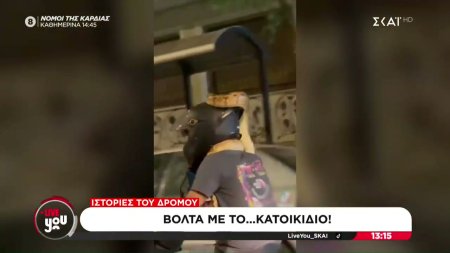 Ιστορίες του Δρόμου: Βόλτα με το...κατοικίδιο 