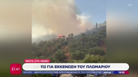 Φωτιά στη Λέσβο: 112 για την εκκένωση του Πλωμαρίου