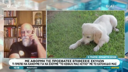 Τι πρέπει να κάνουμε με το κατοικίδιό μας για να είμαστε ασφαλείς