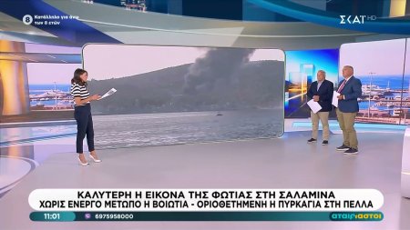 Η εικόνα από τις φωτιές σε Σαλαμίνα, Βοιωτία και Πέλλα