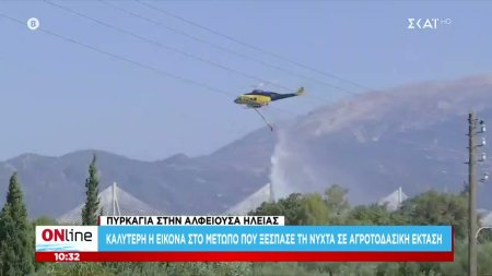 Πυρκαγιά στην Αλφειούσα Ηλείας: Καλύτερη η εικόνα στο μέτωπο που ξέσπασε το βράδυ σε αγροτοδασική έκταση     