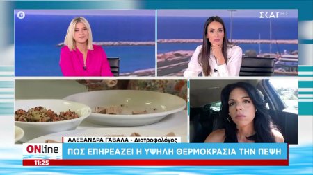Πως επηρεάζει η υψηλή θερμοκρασία την πέψη  