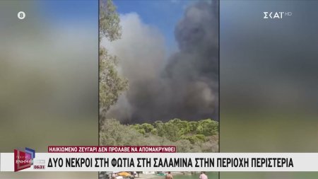 Δύο νεκροί στη φωτιά στη Σαλαμίνα - Ηλικιωμένο ζευγάρι δεν πρόλαβε να απομακρυνθεί 