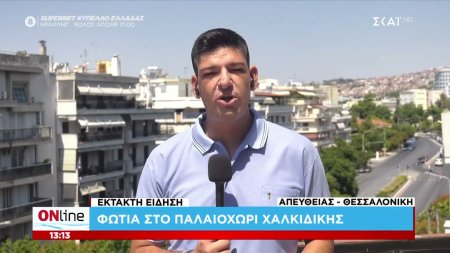 Νέα φωτιά στη Χαλκιδική - Σε αγροτοδασική έκταση στο Παλαιοχώρι