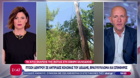 Χαλκιδική: Η επόμενη ημέρα μετά τη μεγάλη φωτιά – Το «ντόμινο» κακών συγκυριών που την προκάλεσε 
