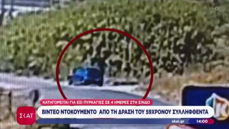 Συνελήφθη 59χρονος που κατηγορείται για 6 πυρκαγιές σε 4 ημέρες στη Σίνδο - Video ντοκουμέντο
