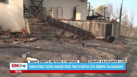 Φωτιά στην Χαλκιδική: Χωρίς ενεργό μέτωπο η περιοχή      