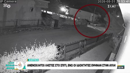 Σέρρες: Ανενόχλητοι οι ληστές στο σπίτι, ενώ οι ιδιοκτήτες έψηναν στην αυλή 