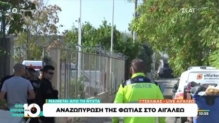 Αναζωπύρωση της φωτιάς στο Αιγάλεω - Μαίνεται από την νύχτα 